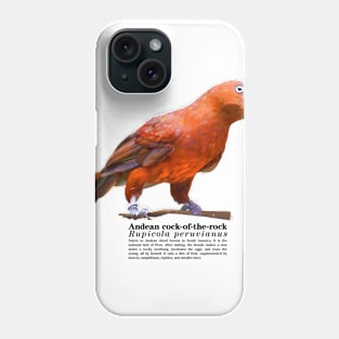 Andean cock-of-the-rock tropical bird black text Phone Case