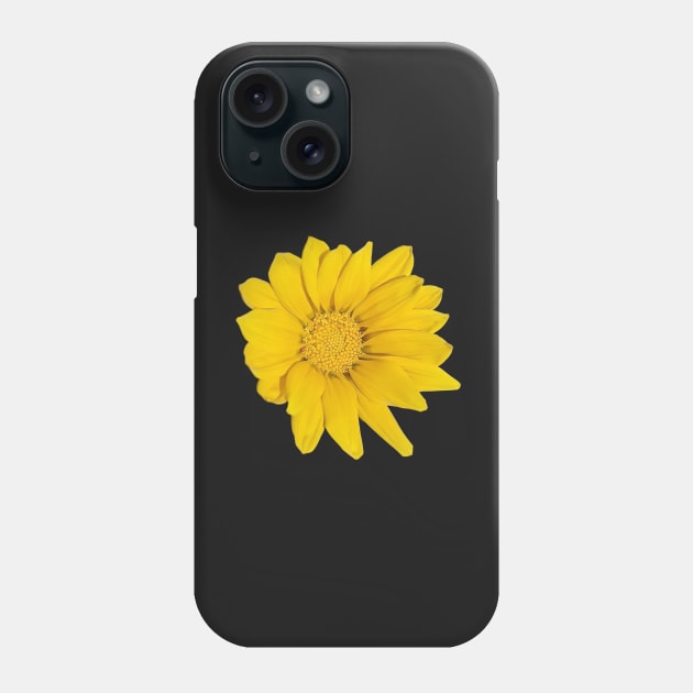 Heliopsis Hellianthoides (Smooth Oxeye) Phone Case by PLANTONE