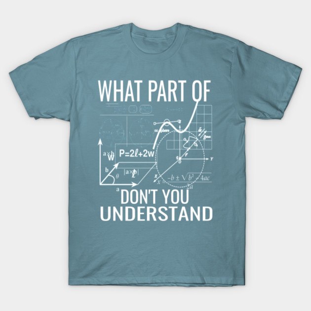 Disover What Part Of Don't You Understand Funny Math Teacher Gift - Math Teachers Gifts - T-Shirt