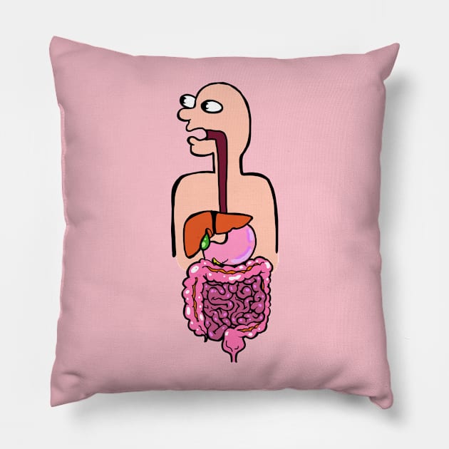 Colorful Illustration of the Digestive System - Med School Anatomy Physiology Pillow by ckrickett