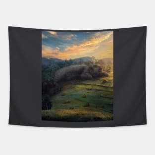 A Morning Nap Tapestry