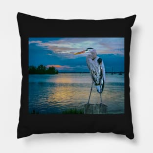 An Early Bird Pillow