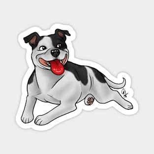 Dog - Staffordshire Bull Terrier - Black and White Magnet