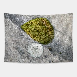 Rock Moss Tapestry