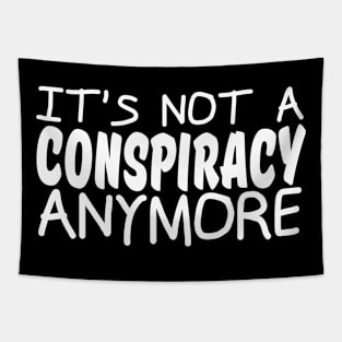 it's not a conspiracy anymore Tapestry