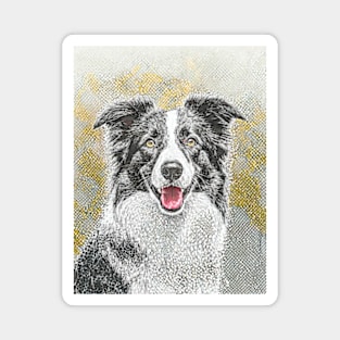 Dog Portrait - Border Collie Magnet