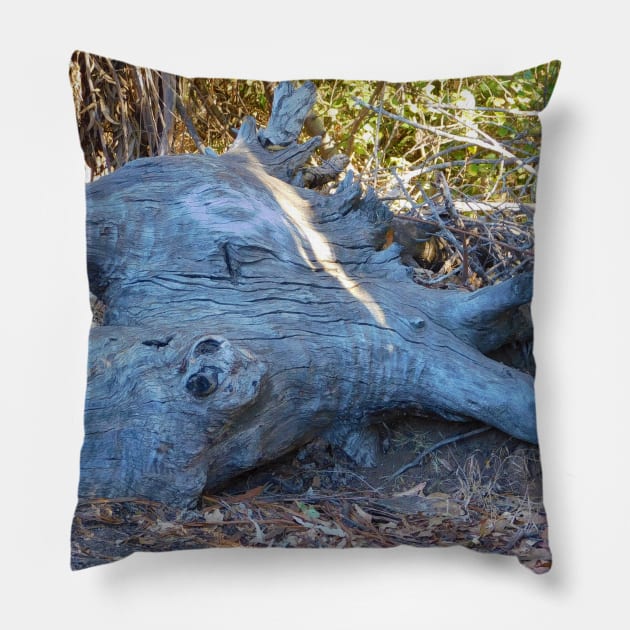 Perspective Pillow by FriendlyComputerHelp