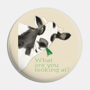 What are you looking at? Pin