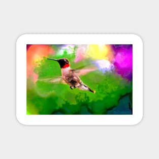 Hummingbird Visit Magnet