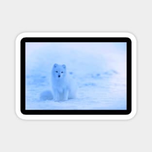 Arctic Fox Magnet