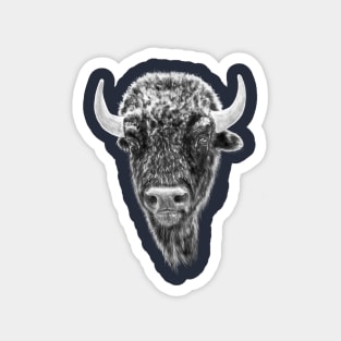 Buffalo Head Portrait Magnet