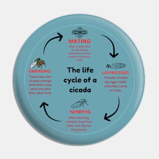 The life cycle of a cicada  2024  map Pin