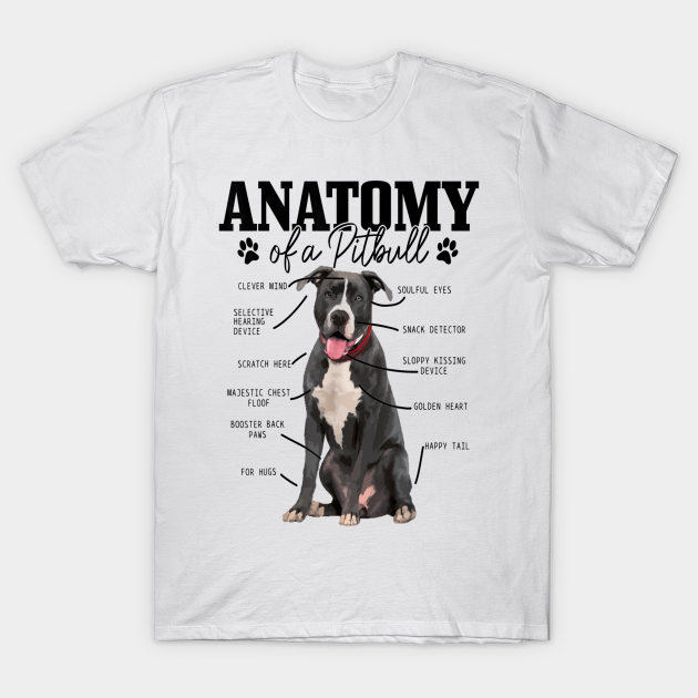 Anatomy Of A Pitbull Dog Funny Cute Pitbull Mom Pitbull Dad - Pitbull - T-Shirt