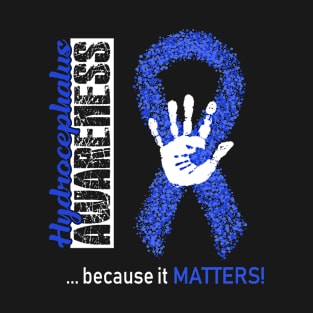 Hydrocephalus Awareness Because It Matters - In This Family We Fight Together T-Shirt