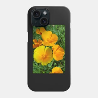 California Poppies - Eschscholzia californica Phone Case