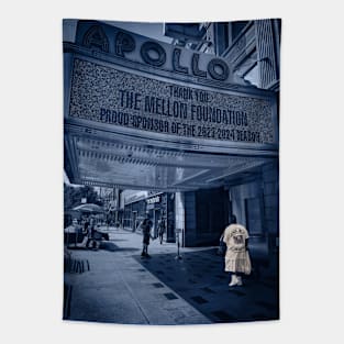 Apollo Theater Harlem Manhattan New York City Tapestry