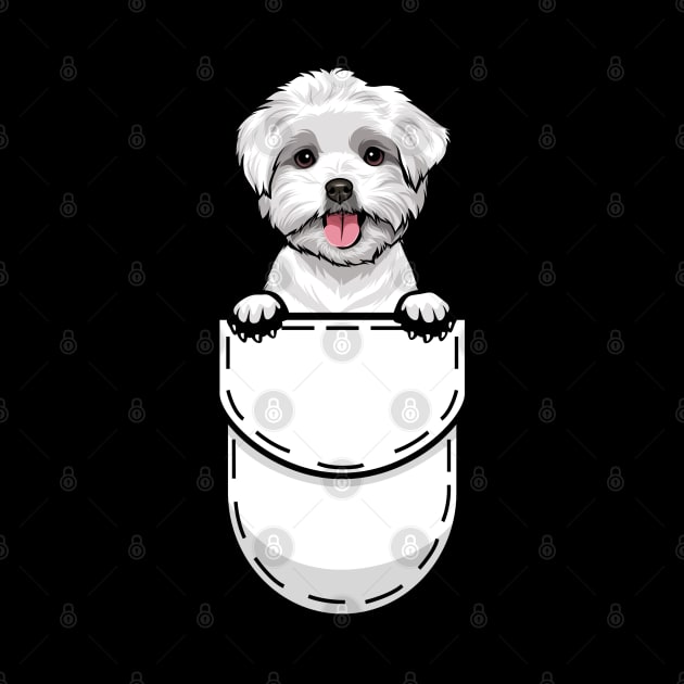 Funny Maltese Pocket Dog by Pet My Dog