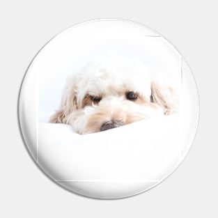 Lulu the Cockerpoo Pin