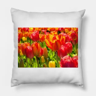 Mass of Tulips Pillow