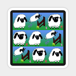 Playful sheep 2 Magnet