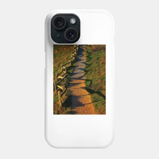 A Zigzag Fence. Point Reyes, California 2009 Phone Case