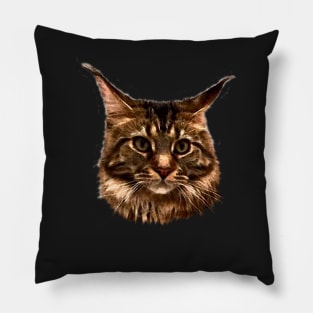 Tucker 2 -  Cute Graphic Maine Coon Cat Pillow