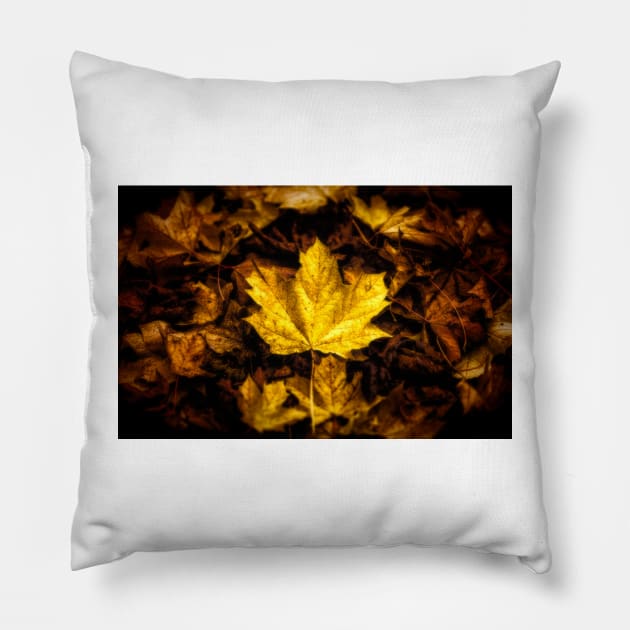 Maple Leaf - Autumn Leaves Pillow by JimDeFazioPhotography