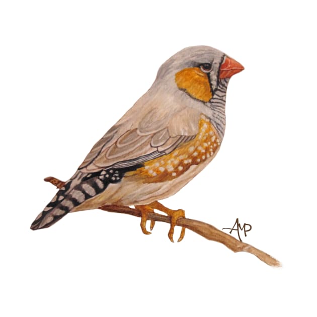 Zebra Finch by ampomata