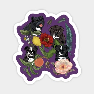 Botanical and Black English Bulldog Magnet