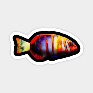 Tusk Wrasse Magnet