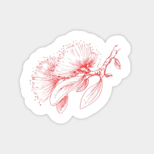 Red Pohutukawa flower pattern Magnet