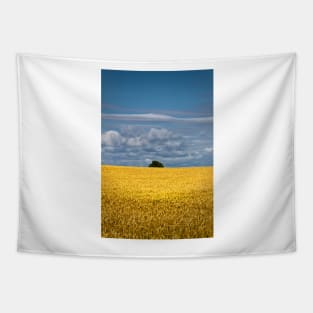 Golden harvest and blue sky Tapestry