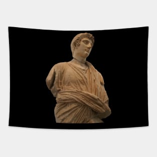 Statue of Roman Citizen Wearing Toga Vector Art Tapestry