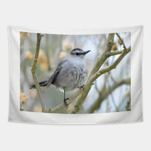 Catbird on Rose of Sharon branch Tapestry