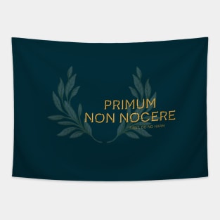 Primum non Nocere, First Do No Harm. Latin maxim. Tapestry