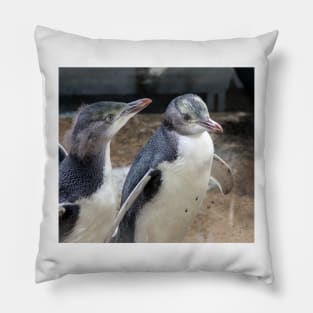 Yellow-eyed penguins Pillow