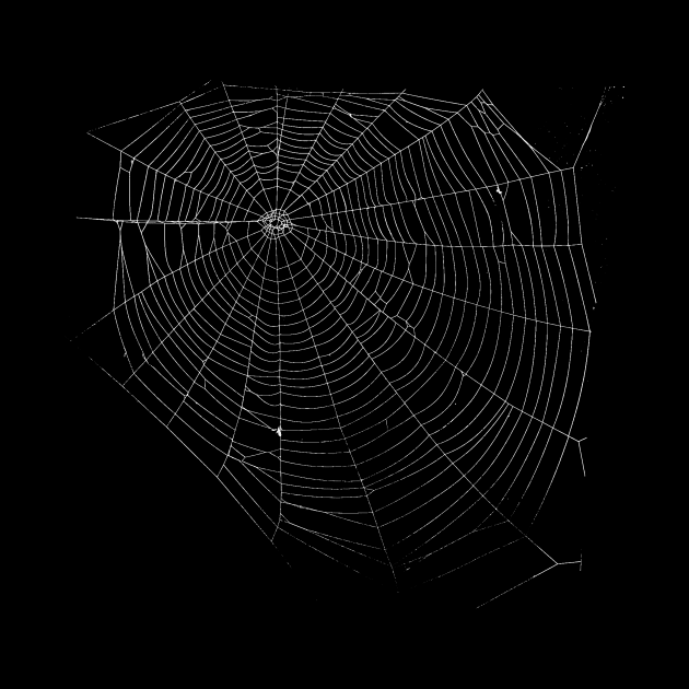 Spiders Web by zeljkica