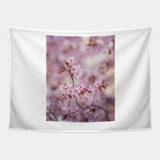 Beautiful flowering cherry tree close-up Tapestry