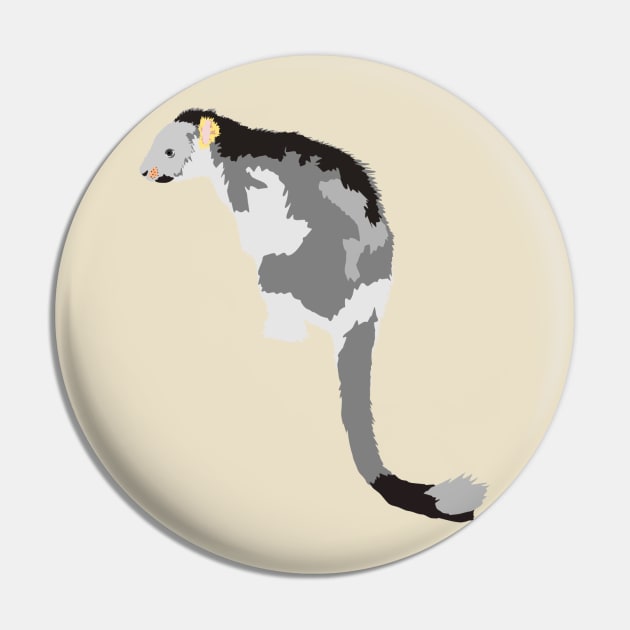 Lumholtz's tree-kangaroo Pin by stargatedalek