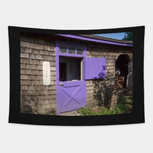 purple door Tapestry