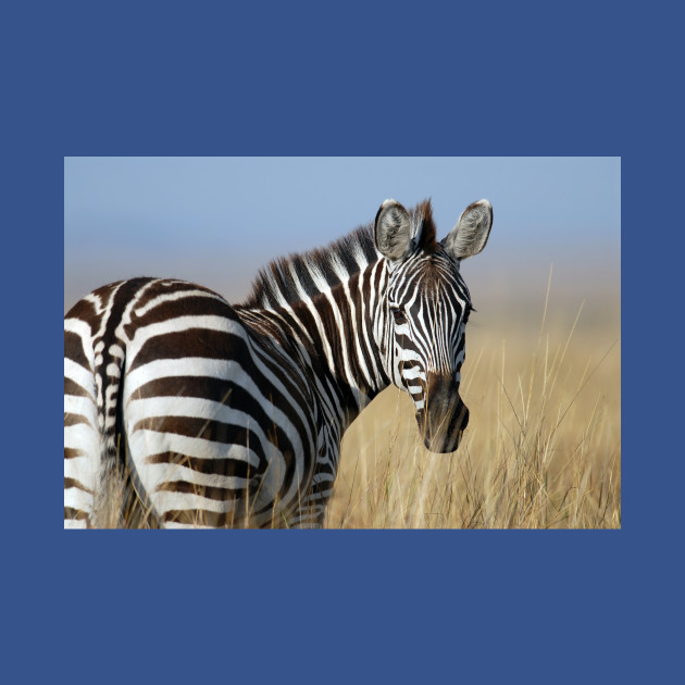 Discover Wild Zebra - Wild Zebra - T-Shirt