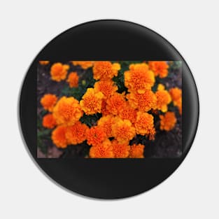 Mexican marigold flower Pin