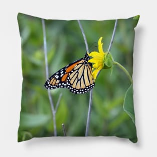 Monarch Butterfly Pillow