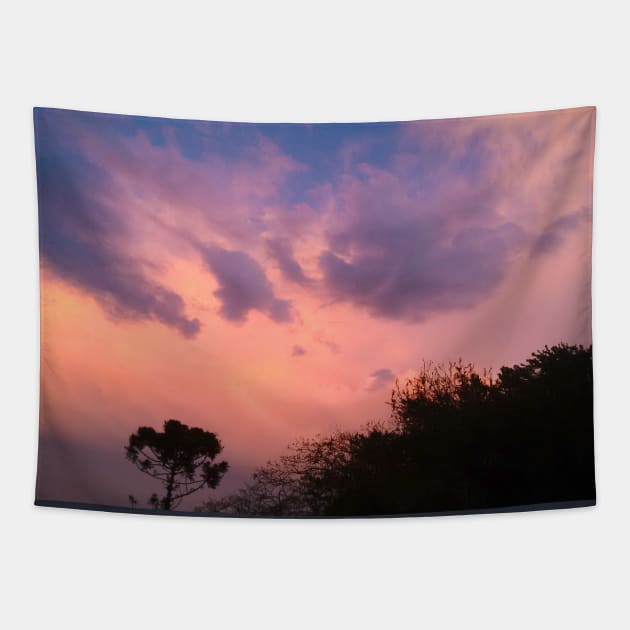 Pink Sky and Clouds Tapestry by Lizzamour