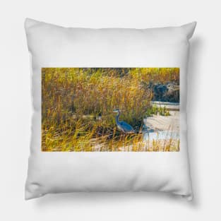 Great Blue Heron in breeding plumage stands at the water’s edge at Hatches Harbor near Provincetown.  Looks great on phone case or as a canvas print on your wall Pillow