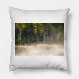 Small forest pond at sunrise Pillow