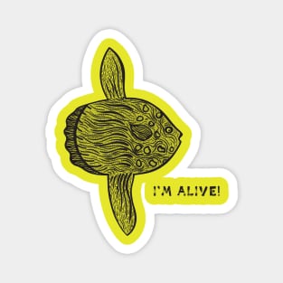 Mola Mola or Ocean Sunfish - I'm Alive! - meaningful animal design Magnet