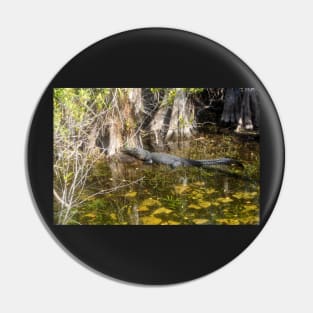 Everglades Alligator Pin