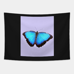 Aesthetic butterfly art Tapestry