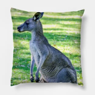 Eastern Grey Kangaroo with Joey Pillow